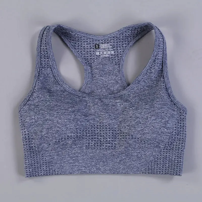 2/3PCS Seamless Women Workout Sportswear