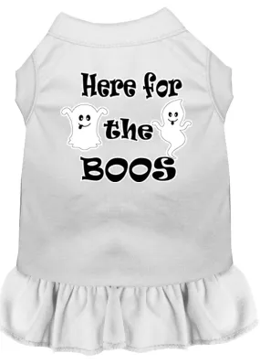 Here For The Boos Screen Print Dog Dress White Xl (16)