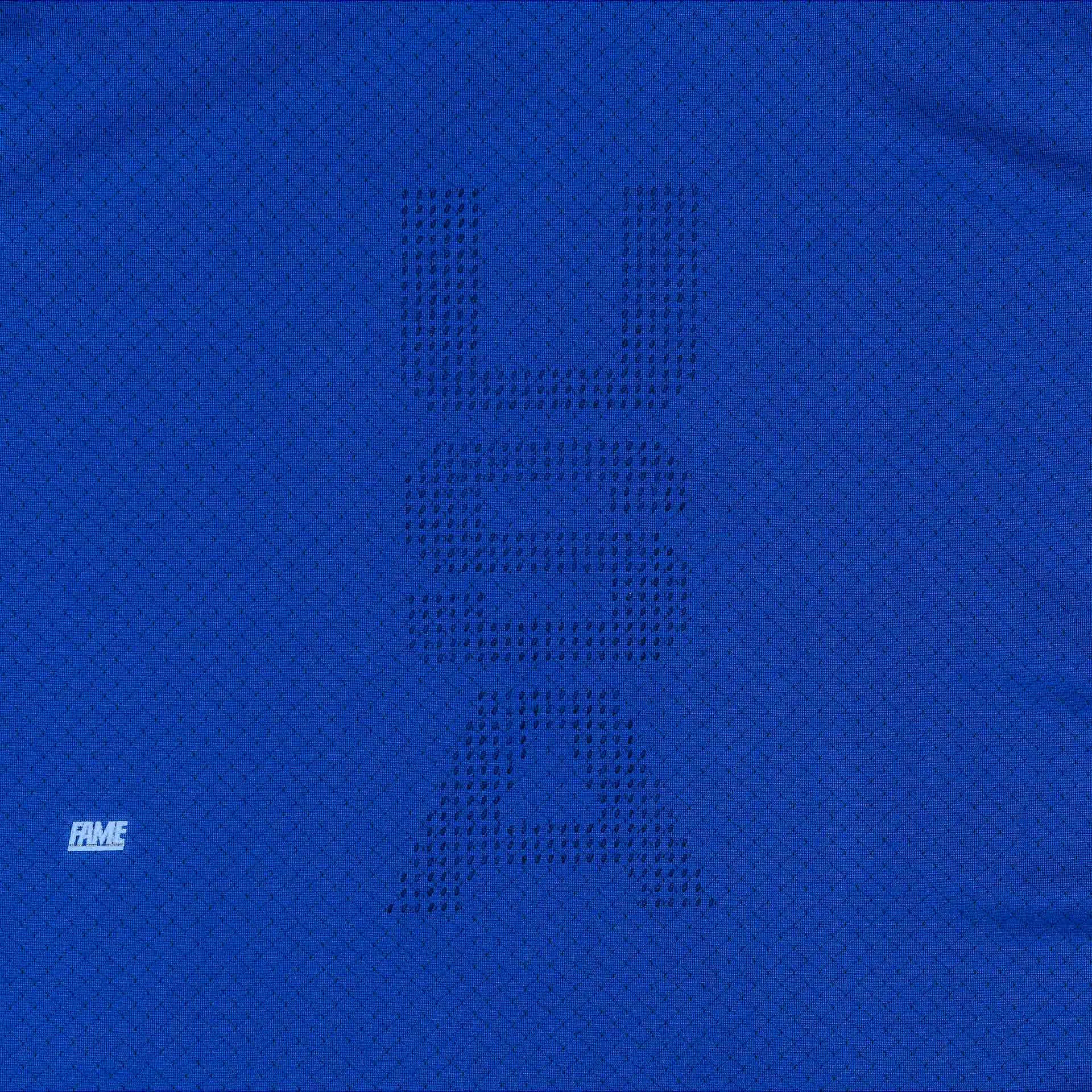 Reebok X Hall of Fame Capsule Collection Perforated Tee Men's - Royal