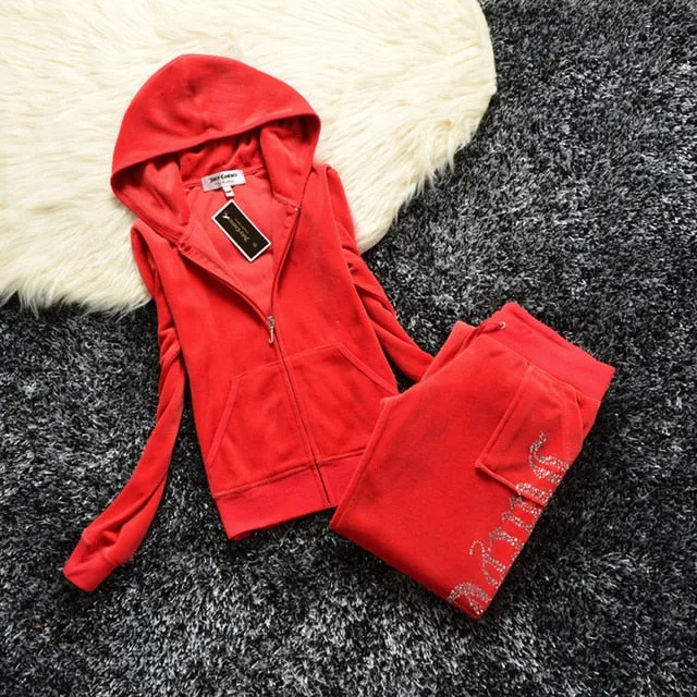 Spring/Fall Women's Brand Velvet Fabric Tracksuits Velour Suit Women Track Suit Hoodies And Pants fat sister sportswear